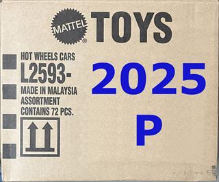 2025 Case P